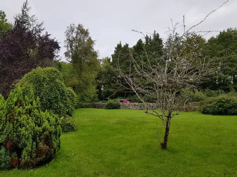 Gortreeveagh, Oughterard, Galway, H91NXH2 -  DNG