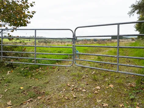 Fahanalooscane, Ballinhassig, Co. Cork -  DNG