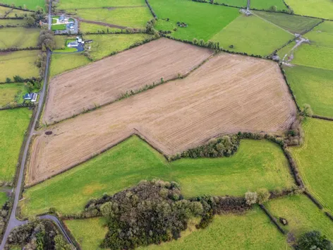 Lands At Lisnacush, Lanesborough, Co. Longford, LD4830 & LD1124, N39XXXX -  DNG