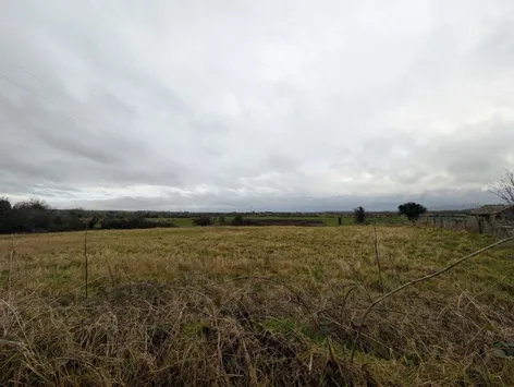 Coolnamunna, Cloughjordan, Co Tipperary -  DNG