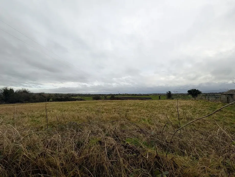 Coolnamunna, Cloughjordan, Co Tipperary - DNG Estate Agents