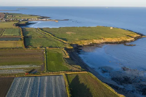 Land At, Loughshinny, Balustree, Rush, Co. Dublin - DNG