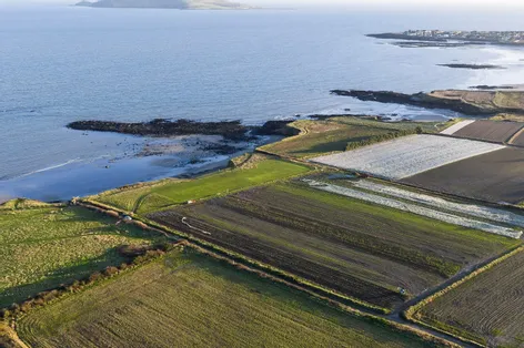 Land At, Loughshinny, Balustree, Rush, Co. Dublin - DNG