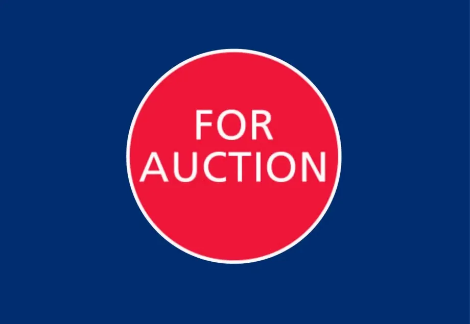 Commonage Lands, Lugganaffrin, Shandullaghaun & Cloghermore, Camus, Co Galway - DNG Estate Agents