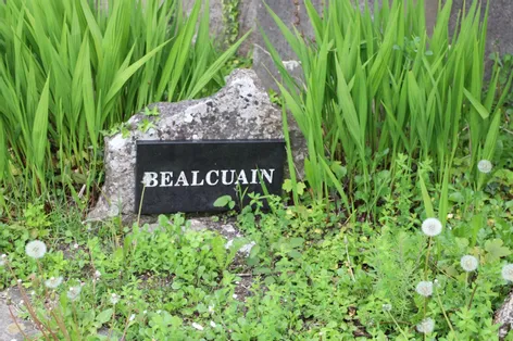 2 Beal Cuain, Kinvara, Co. Galway, H91NY0R - DNG