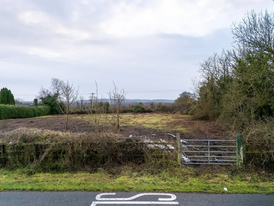 Site At Ballymakeegan, Longford, Co. Longford, Folio LD1361F, N39XXXX - DNG Estate Agents