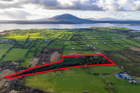 Forestry Land Ballyhanruck, Knockmore, Ballina, Co. Mayo., 0000000 -  DNG