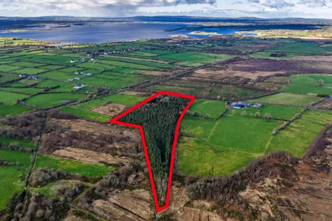 Forestry Land Ballyhanruck, Knockmore, Ballina, Co. Mayo., 0000000 -  DNG