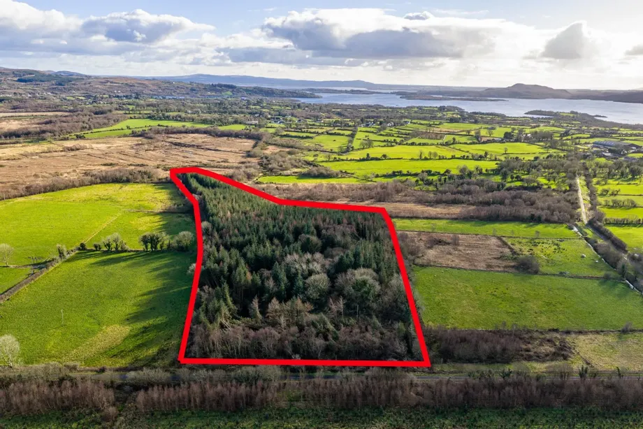 Forestry Land Ballyhanruck, Knockmore, Ballina, Co. Mayo., 0000000 - DNG Estate Agents