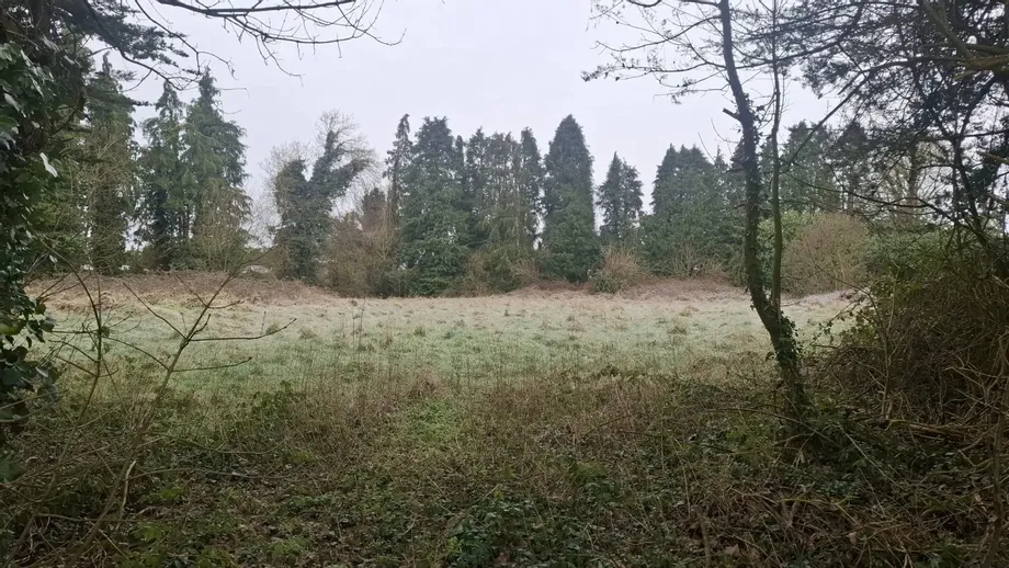 Ardmore Road - DNG Estate Agents