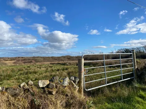 Loughwell, Moycullen, Co. Galway - DNG