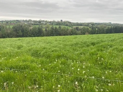 Site B At Ballyminane Mills, Enniscorthy, Co. Wexford -  DNG