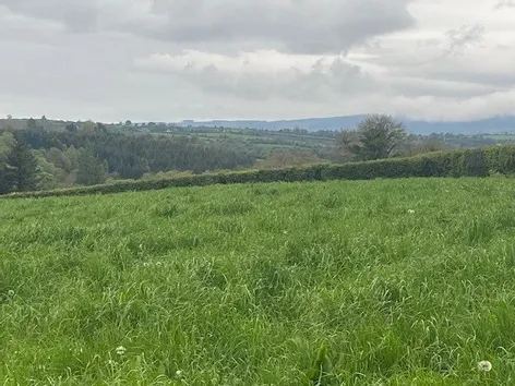 Site B At Ballyminane Mills, Enniscorthy, Co. Wexford -  DNG