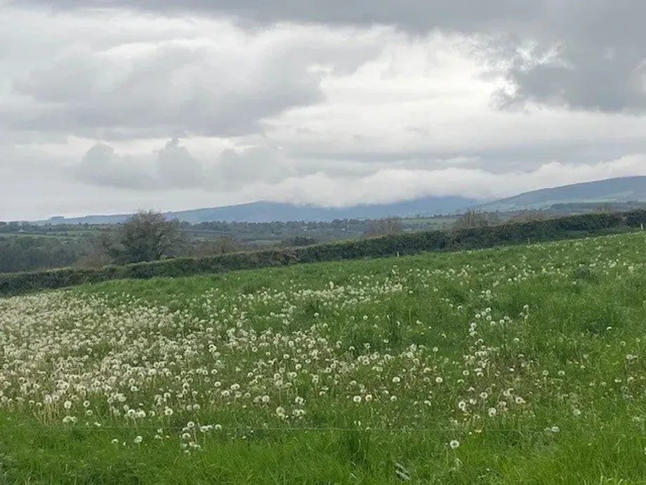 Site B At Ballyminane Mills, Enniscorthy, Co. Wexford - DNG Estate Agents