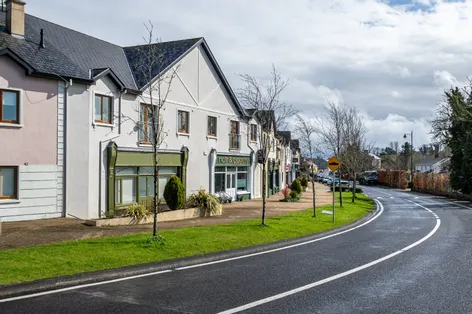 41 Mac Oisin Place, Dromod, Co. Leitrim, N41P638 - DNG