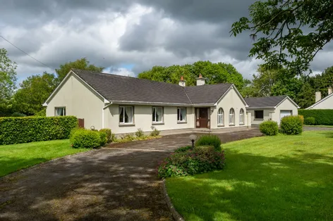 Lea Beg, Blue Ball, Tullamore, Co. Offaly, R35T671 -  DNG