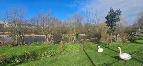 23 Butler Place, Lakeside, Kilkenny, Co. Kilkenny, R95 -  DNG