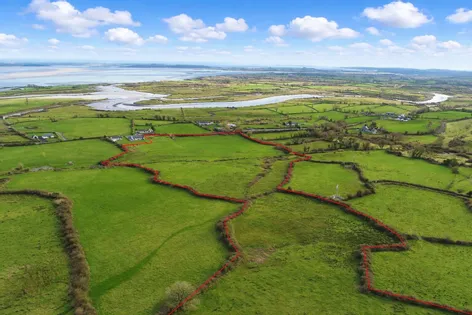 Lands At Lisheen, Ballynacally, Co. Clare -  DNG