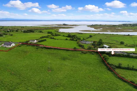 Lands At Lisheen, Ballynacally, Co. Clare -  DNG