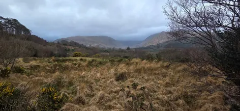 Lauragh Upper, Lauragh, Co Kerry -  DNG