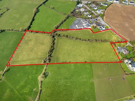 Ballinamere, Tullamore, Co. Offaly -  DNG