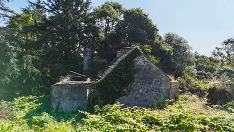 Turlough, Rosmuc, Co Galway -  DNG