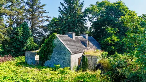 Turlough, Rosmuc, Co Galway -  DNG