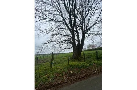 0.74 Acre Site, Browneshill Avenue, Carlow -  DNG