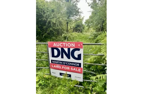 Rinneen, Moycullen, Co Galway -  DNG