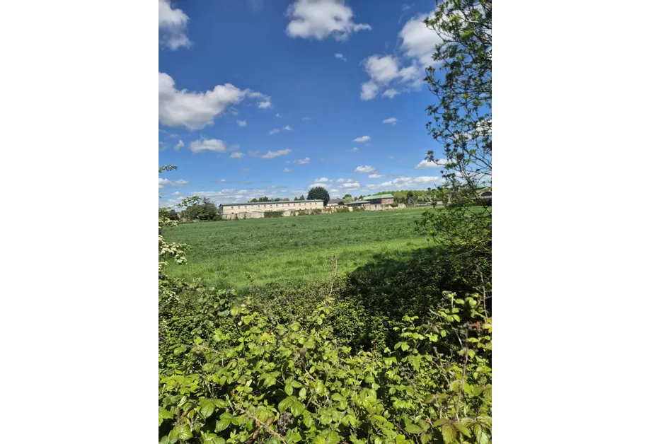 Agricultural Land, Abbey Meadows, Castledermot, Co. Kildare - DNG Estate Agents