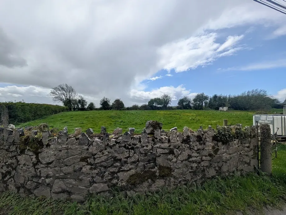 Kylepark, Borrioskane, Co Tipperary - DNG Estate Agents