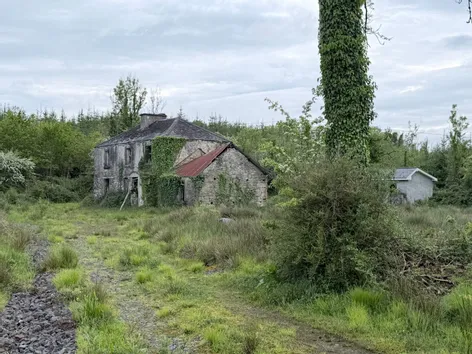 Gornalamph, Mohill, Co. Leitrim, Next Door Eircode, N41YK11 - DNG