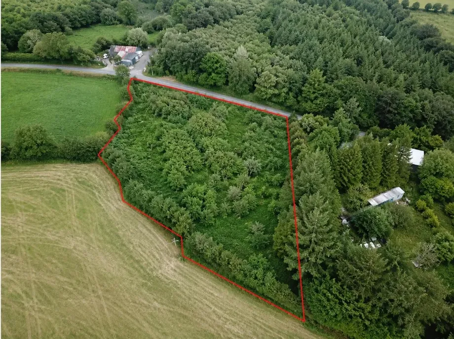 Lands At, Ballanabarney, Inistioge, Co. Kilkenny - DNG Estate Agents