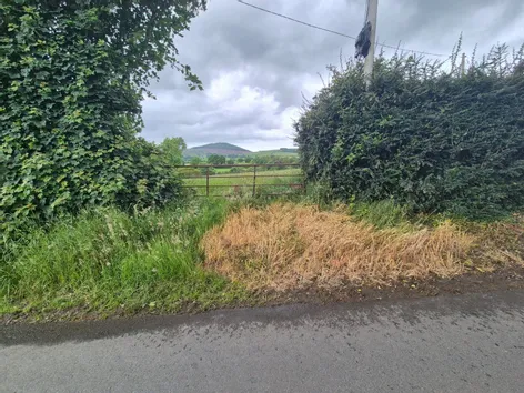 Coolnaleen, Camolin, Enniscorthy, Co. Wexford, Y21E4H9 -  DNG