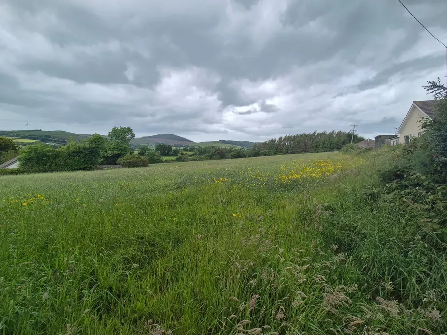 Coolnaleen, Camolin, Enniscorthy, Co. Wexford, Y21E4H9 - DNG Estate Agents