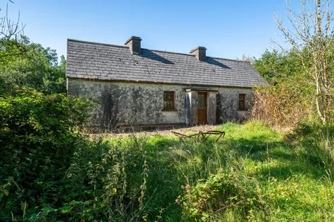 Derrylow, Boyle, Co. Roscommon, RN3682F (For ID), F52YP99 -  DNG