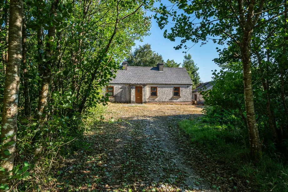 Derrylow, Boyle, Co. Roscommon, RN3682F (For ID), F52YP99 - DNG Estate Agents