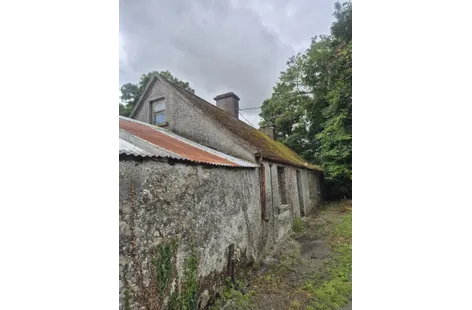 Derelict Cottage, Knocklow, Tullow, Co. Carlow, R93H7V0 - DNG