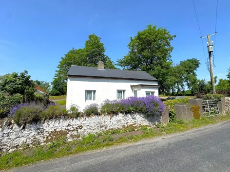 Ballinlough, Kill, Co. Waterford, X42H677 -  DNG