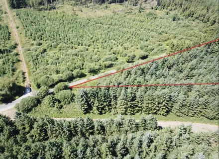Forestry Land At Smithstown, Mullinavat, Co. Kilkenny