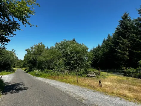 Forestry Land At Smithstown, Mullinavat, Co. Kilkenny - DNG