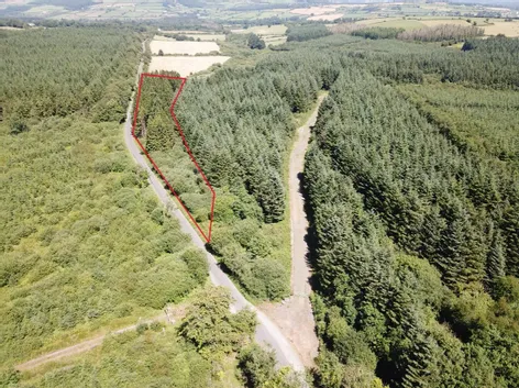 Forestry Land At Smithstown, Mullinavat, Co. Kilkenny - DNG