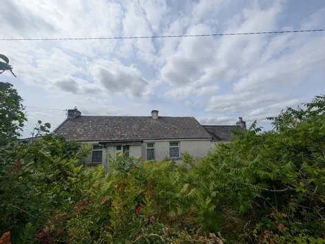 Clash, Toomevara, Nenagh, Tipperary, E45TX26 - DNG