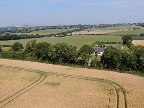 Kilcormack, Raheenduff, Enniscorthy, Co. Wexford -  DNG