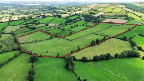 Aghacashel, Ballyjamesduff, Co. Cavan, A82KF22 -  DNG