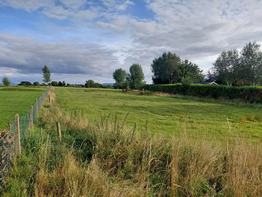 Caherconreeffy, Pallasgreen, Co.Limerick - DNG Estate Agents