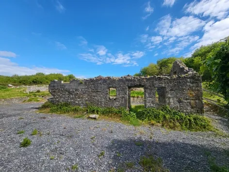 Moymore, Ruan, Ennis, Co. Clare - DNG