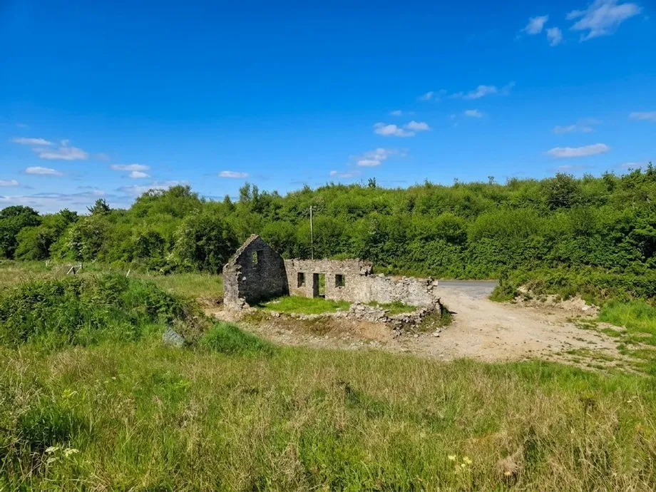 Moymore, Ruan, Ennis, Co. Clare - DNG Estate Agents